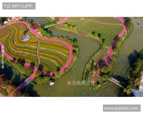 花海王者引领浪漫风潮打造唯美梦幻世界震撼心灵的视觉盛宴